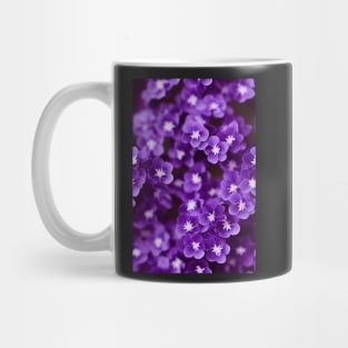 Beautiful Violet Flowers, for all those who love nature #123 Mug